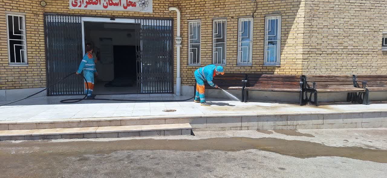 شهرداری