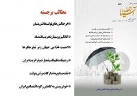 راه کوتاه یا طولانی توسعه؟