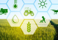بررسی وضعیت تولید محصولات زراعی