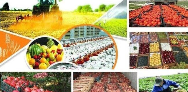 وضعیت و چگونگی صادرات محصولات کشاورزی ایران